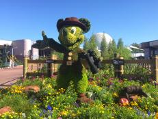Mickey Mouse Topiary