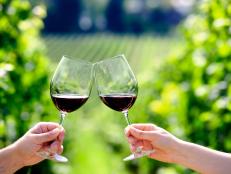 Toasting with two glasses of red wine in the vineyard