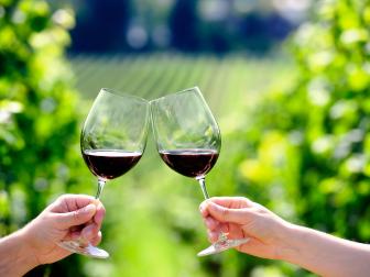 Toasting with two glasses of red wine in the vineyard