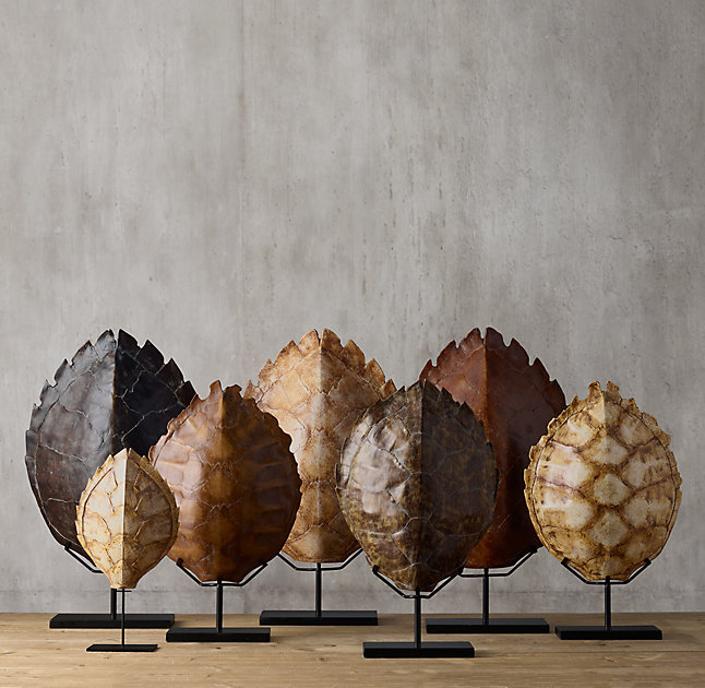 Terrapins Tortoises And Turtles The New Twist On Coastal Style S Decorating Design Blog - White Turtle Shell Wall Decor