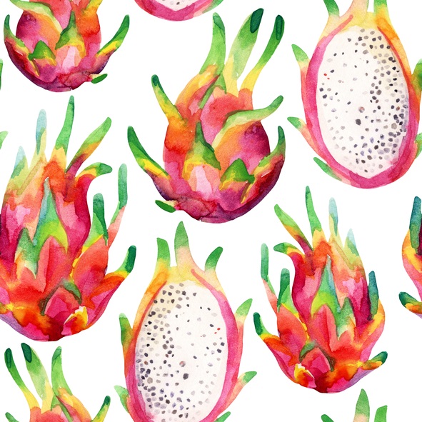 Dragon fruit Watercolor