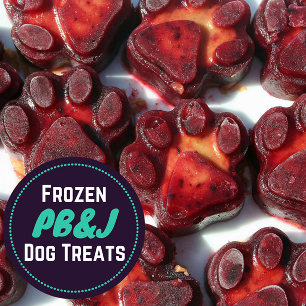 frozen fruit treats for dogs