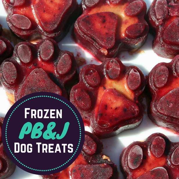 heart to tail frozen dog treats