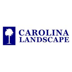 Carolina Landscape