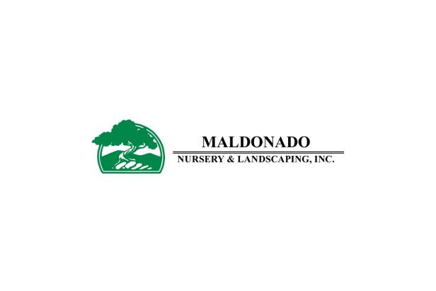 Maldonado medelyno apželdinimas San Antonijuje