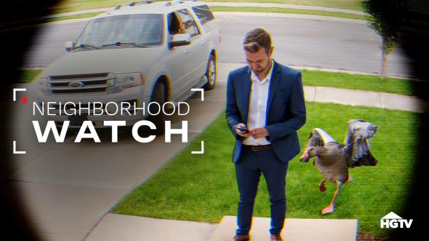 Image showcasing Neighborhood Watch | HGTV