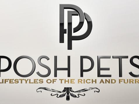Posh Pets: Lifestyles of the Rich and Furry