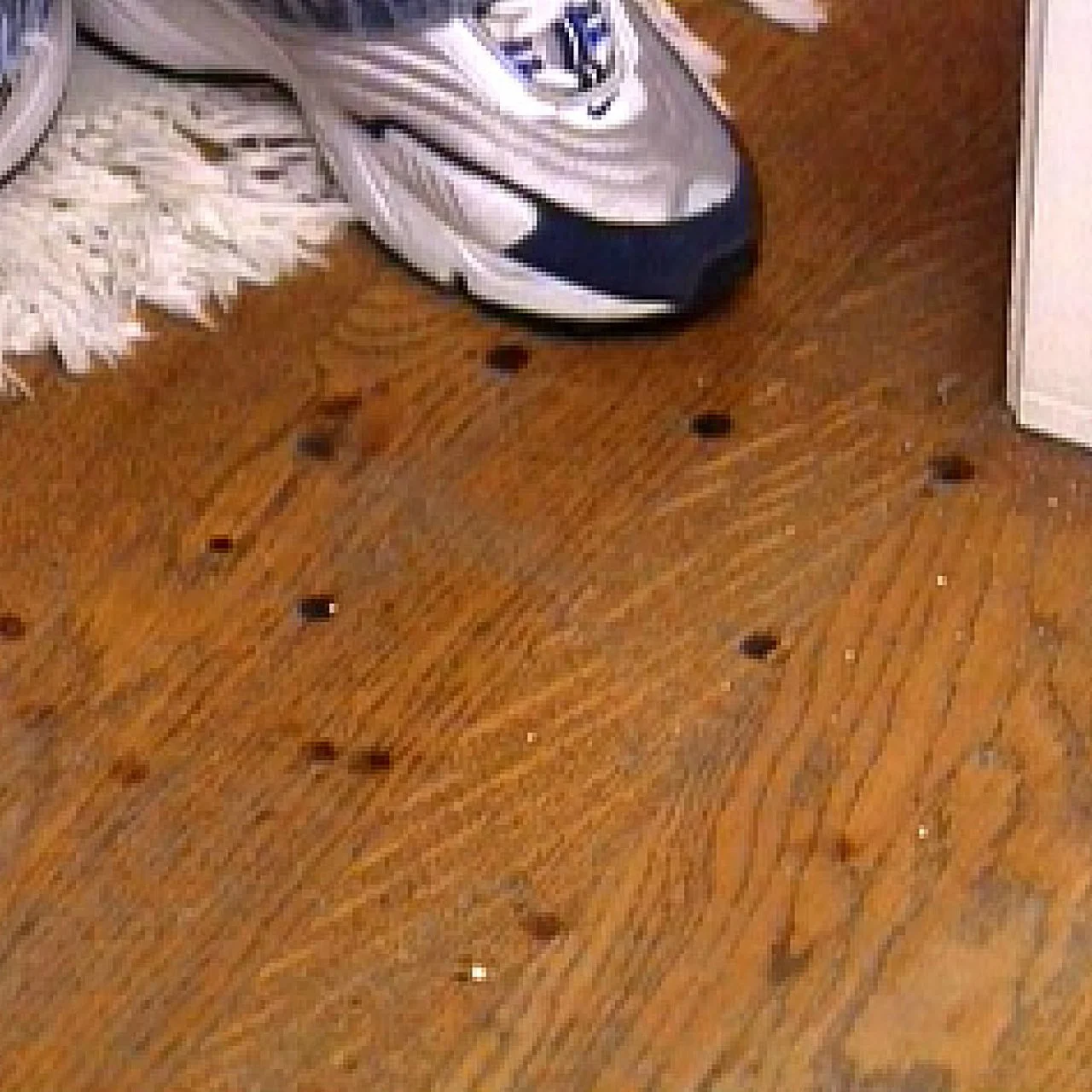 How to Remove Burn Marks on a Hardwood Floor HGTV