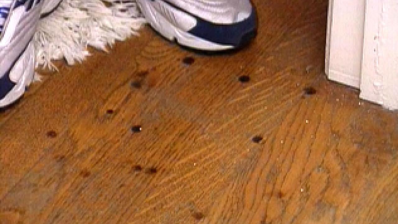 How to Remove Burn Marks on a Hardwood Floor | HGTV