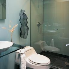 Glass and Slate Modern Spa Bathroom With Sculpture