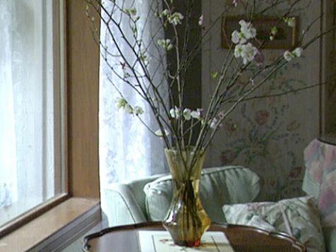 Bring the Garden Indoors by Forcing Tree Branches