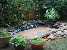 Add a unique water feature to your backyard.