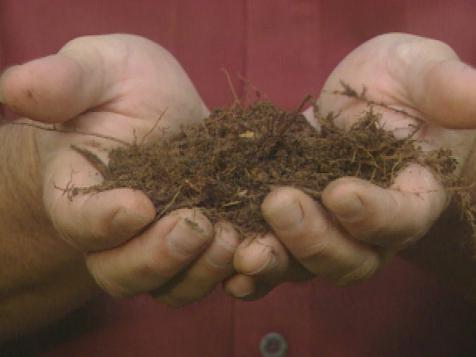 Soil Is the Key to Successful Gardening