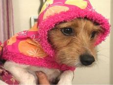 Make a practical raincoat and collar set for your dog so you can both go for a walk even when it's raining.