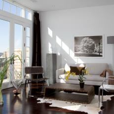 Modern Living Room With Cowhide Rug
