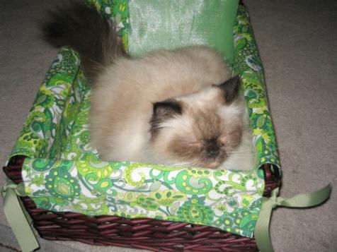 Cat Basket and Washable Pet Bed