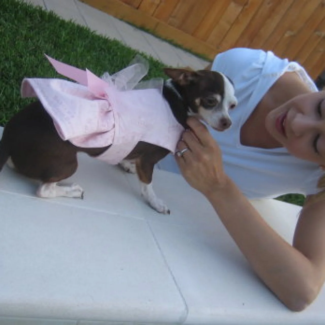 how-to-make-custom-dog-clothing-hgtv for Dog Clothing Patterns Free Printable How to Make Custom Dog Clothing | HGTV for Dog Clothing Patterns Free Printable