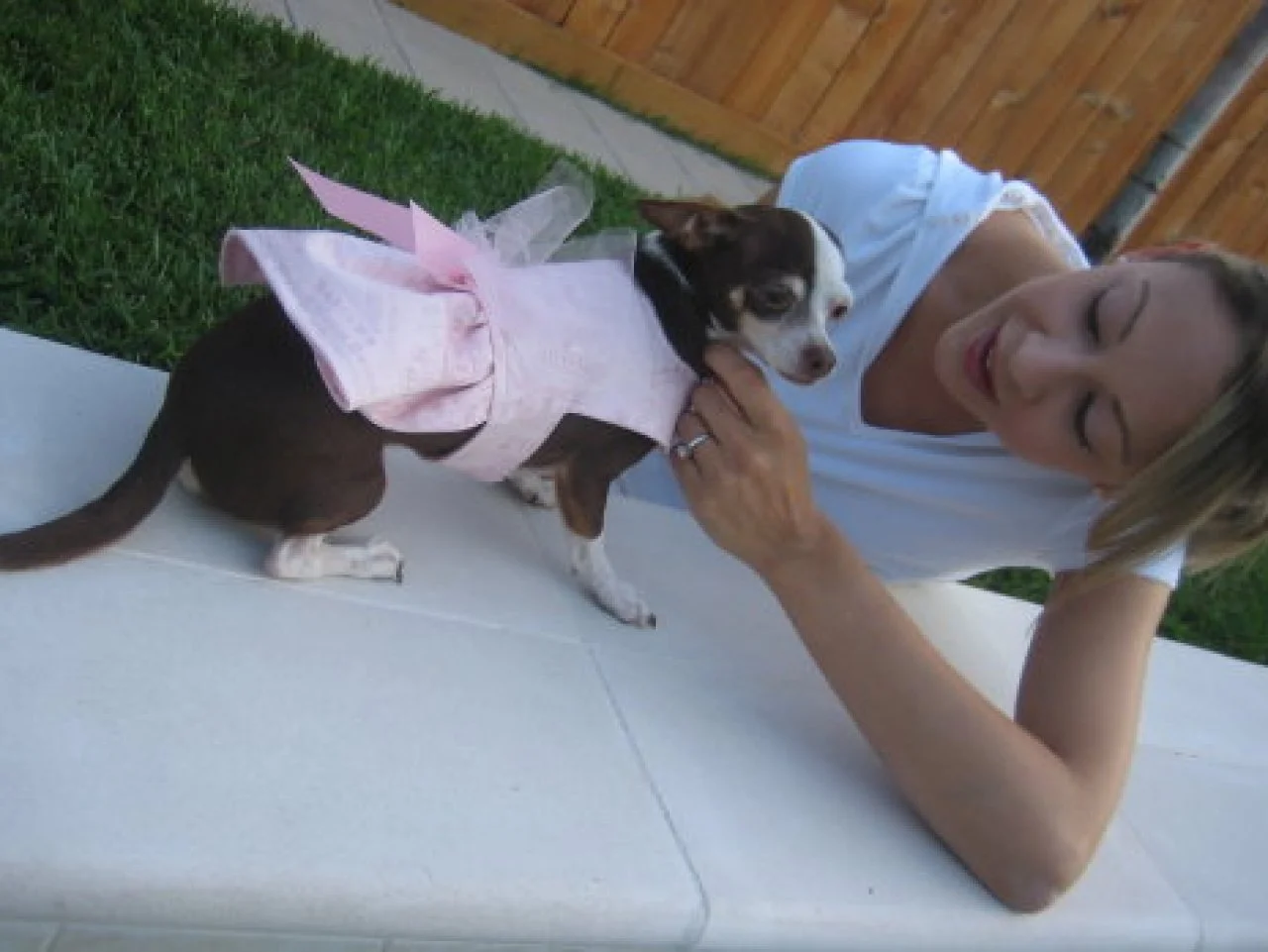 How to Make Custom Dog Clothing | HGTV how-to-make-custom-dog-clothing-hgtv