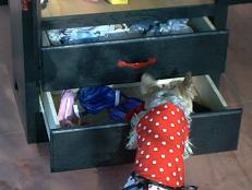 Dog in Polka Dot Dress Opens Black Dresser Drawers