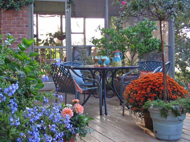 Traditional Deck and Screened Porch With Potted Plants