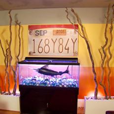 hclrs307_fish-tank