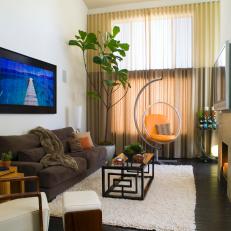 Contemporary White Living Room With Shag Area Rug