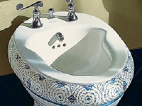 Euro-style Personal Hygiene With the Bidet