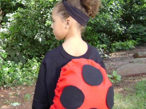No-Sew Lucky Ladybug Costume