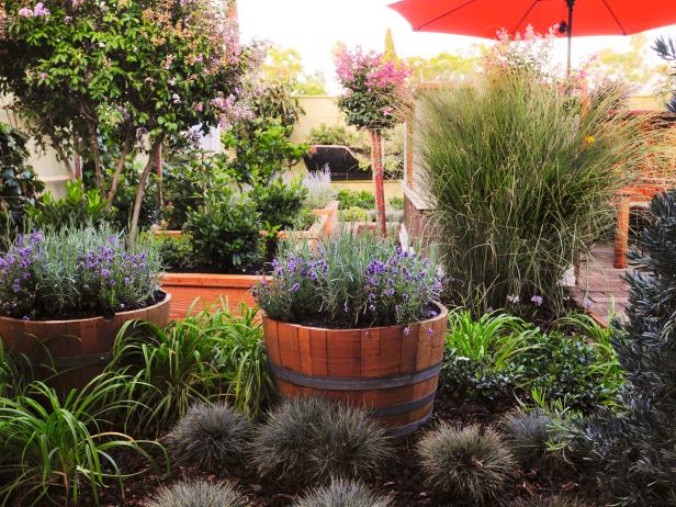 Grasses, greenery, and flowering plants thrive in this garden setting.