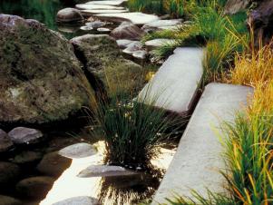 Asian Garden With Stepping Stones