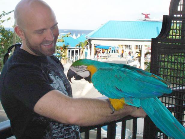 Design Star Season 3's Matt Locke meets a macaw.