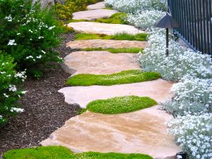 Stone Path Walkway With Irish Moss