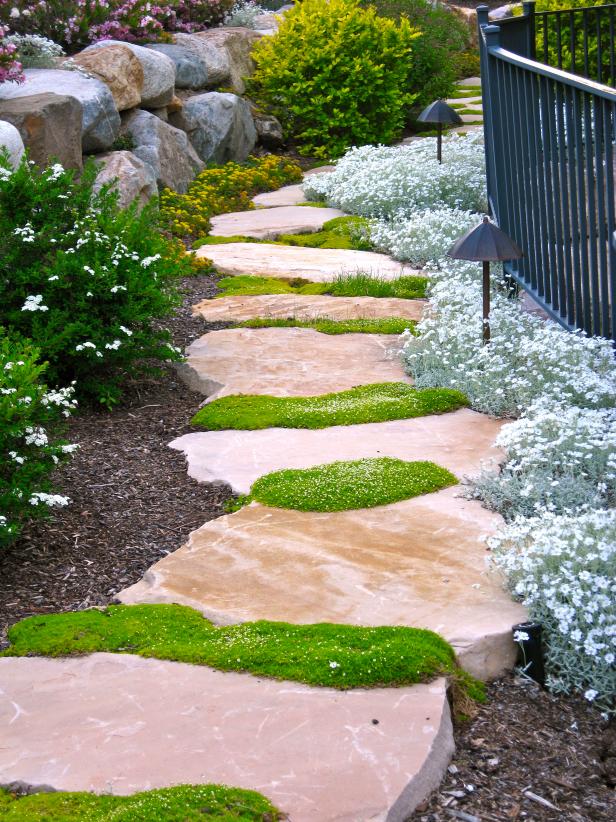 Backyard walking path