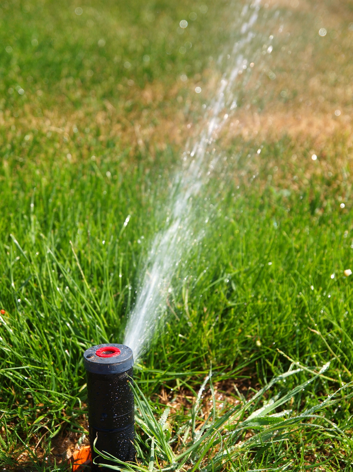 lawn sprinkler system designer