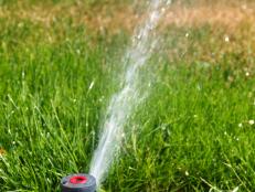 Learn how to inspect and replace damaged risers and heads in a lawn sprinkler system.