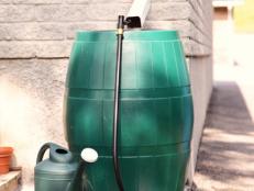 These easy-to-install barrels can save rainwater for your home and garden.