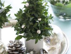 Mini Christmas Tree Centerpiece