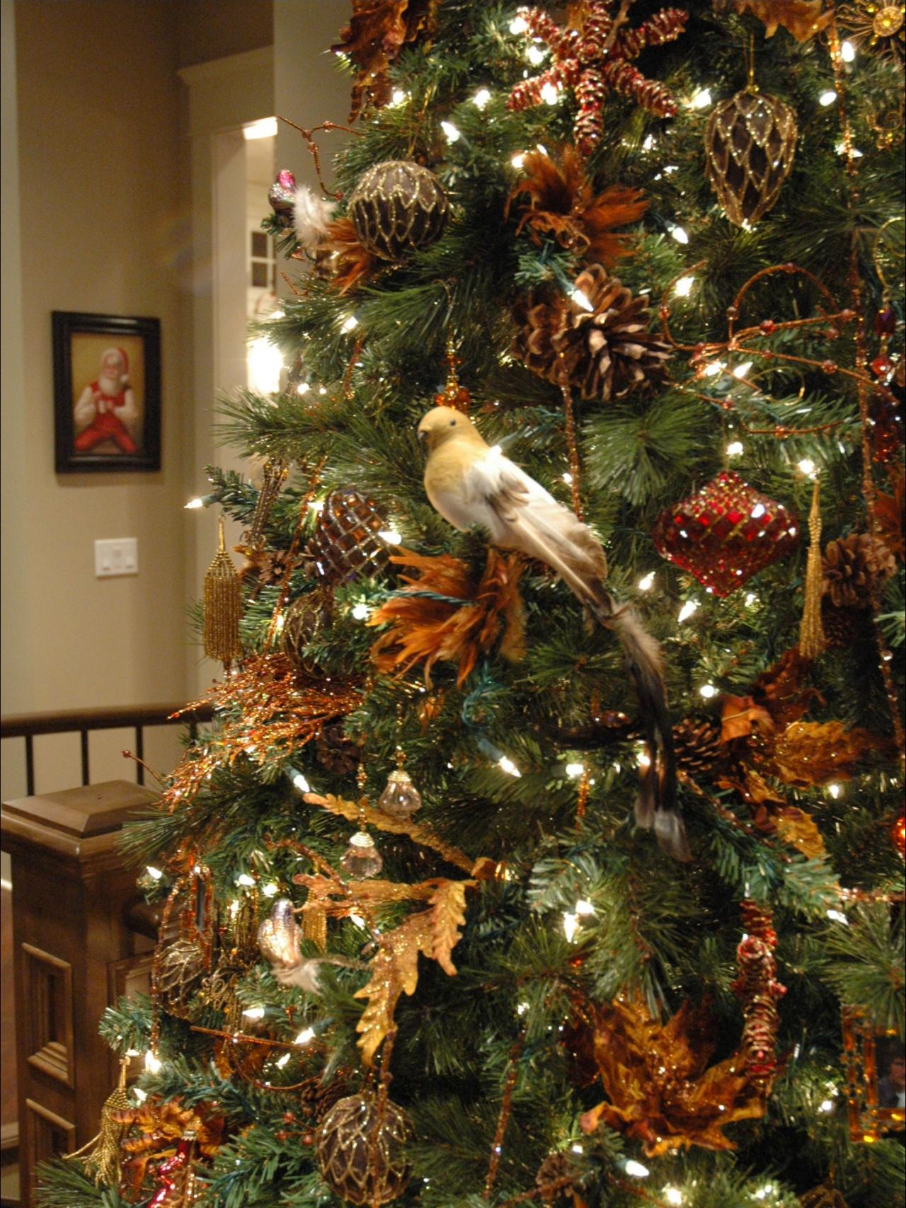 Nature Inspired Christmas Tree Hgtv Nature Inspired Christmas Tree