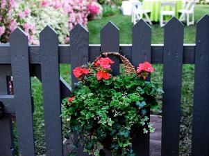 Charming Flowers on a Fence