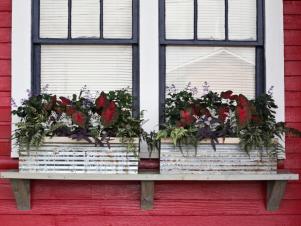 hhtrv101_window-boxes-after_s4x3