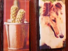 Canvas Photo of Corn in Bucket and Canvas Photo of Dog