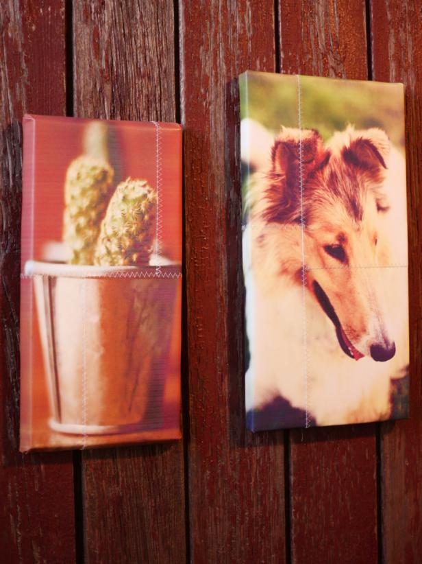 Canvas Photo of Corn in Bucket and Canvas Photo of Dog