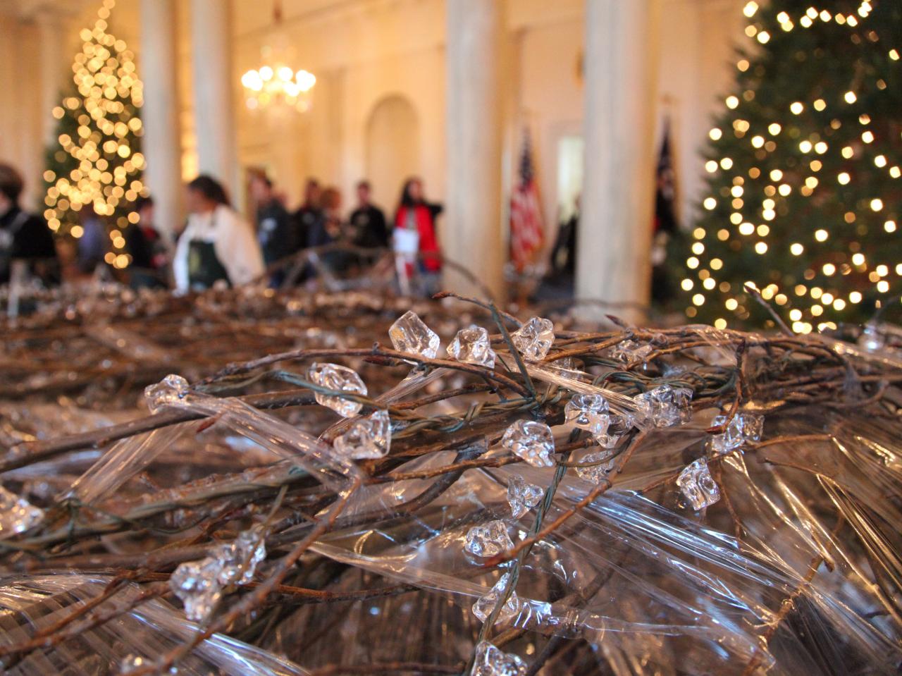 Birch Branches Encrusted With Floral Ice Hgtv