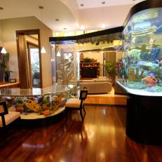 Unbelievable Home Aquarium Doubles as Bar 