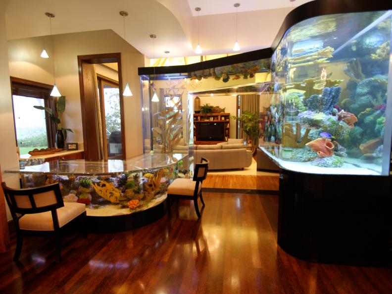 Large Aquarium on Hardwood Floors With Pendant Lights