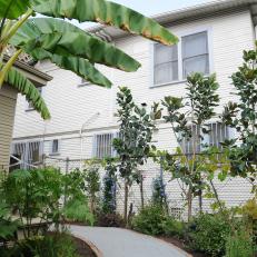 Side Yard With Banana Tree