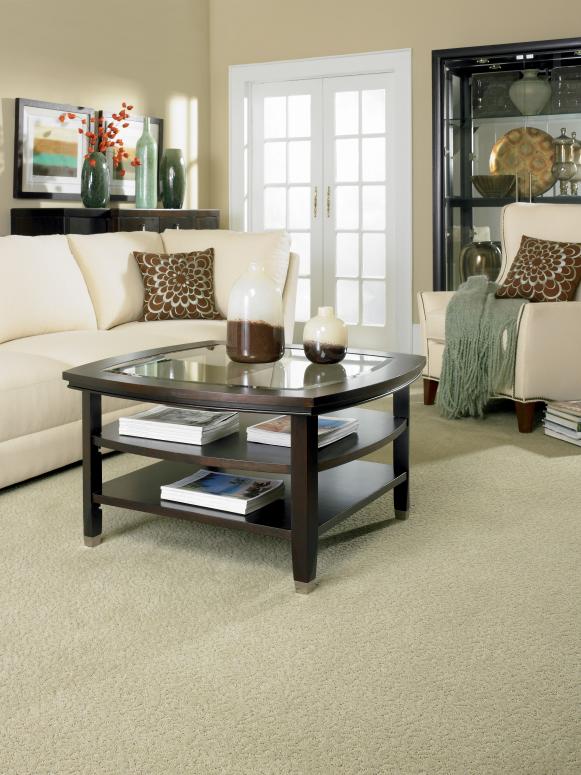 Transitional Living Room With Smart Strand Carpet
