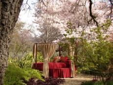 Red Canopy Bed in Garden