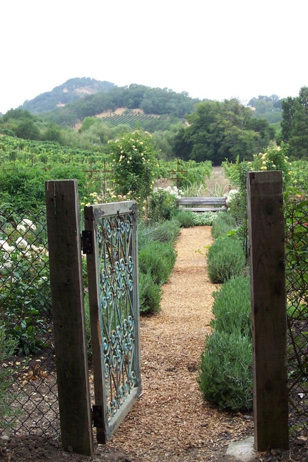 Decorative Garden Gate and Path | HGTV