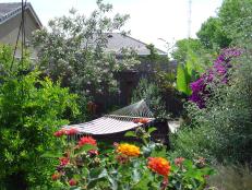 Backyard Garden With Hammock